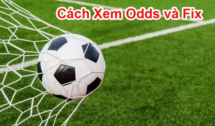 Xem Odds Và Fix bằng kèo Asian Handicap